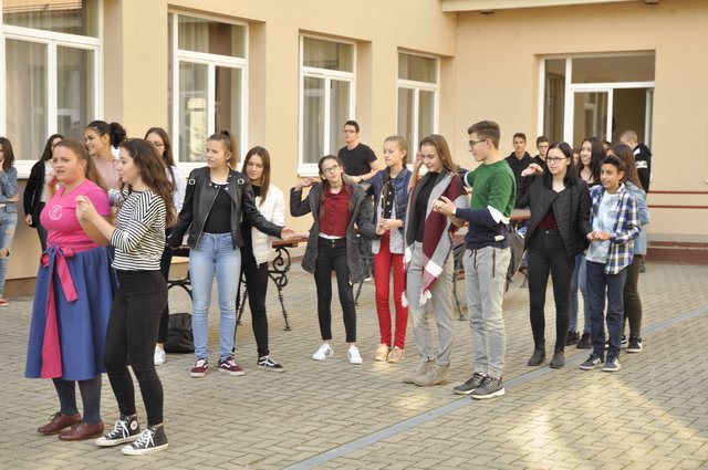 Csibetábor az Aranyban 40